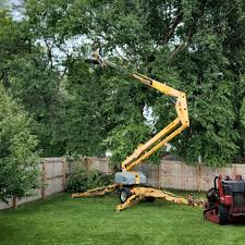 Reliable Wabasha, MN Tree Removal Solutions